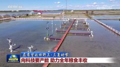 【正在但愿的郊野上·三夏